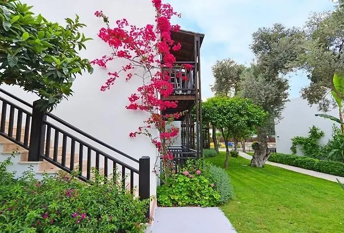 Bitez Garden Life 4* Bodrum